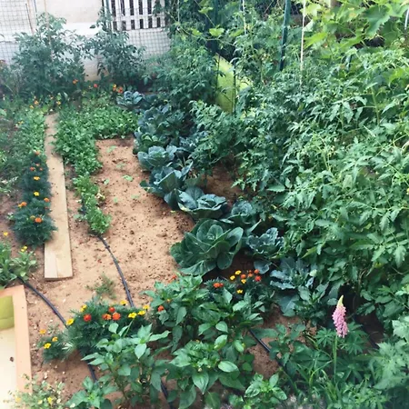 Friendly People's ゲストハウス 3*