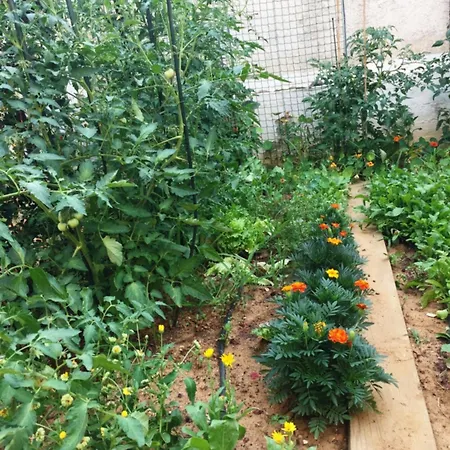 Friendly People's 3* Zadar