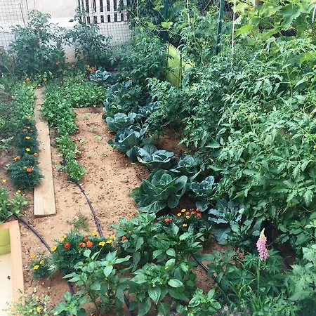 ゲストハウス Friendly People's