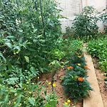Friendly People's 3* Ζαντάρ