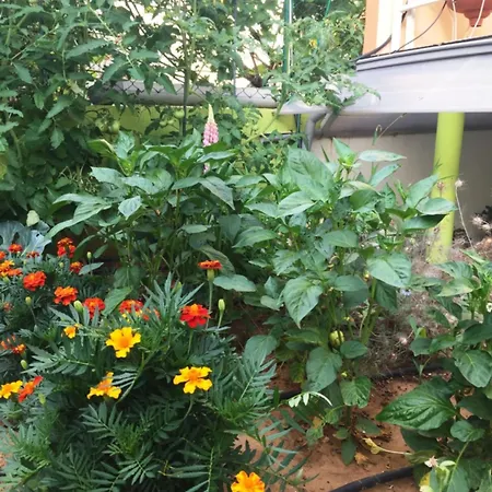 Friendly People's Гостьовий будинок