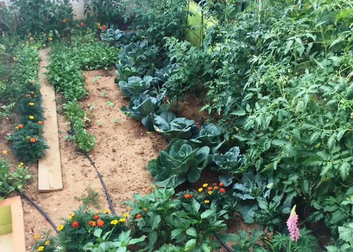 Friendly People's Gasthof 3*