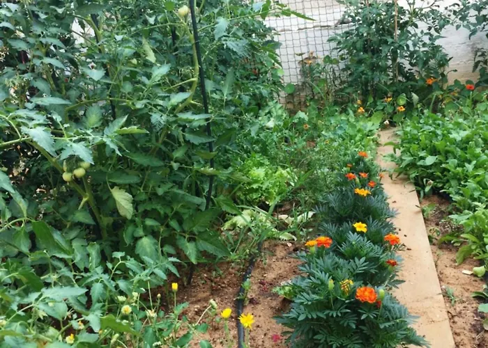 Friendly People's 3* Zadar