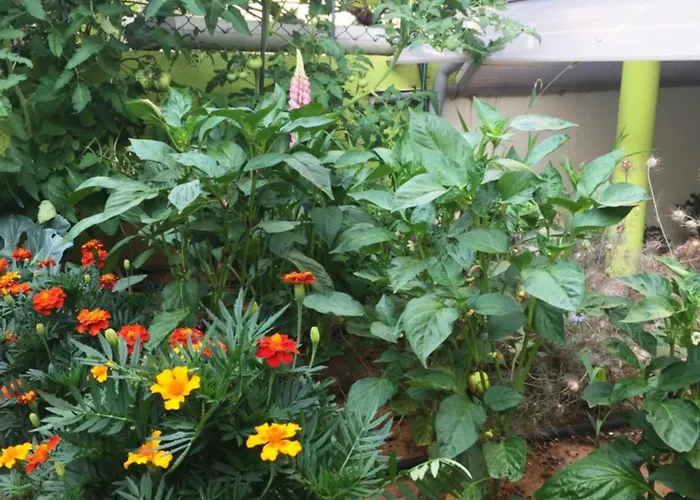 Friendly People's Gasthof