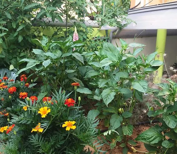 Gasthof Friendly People's 3*